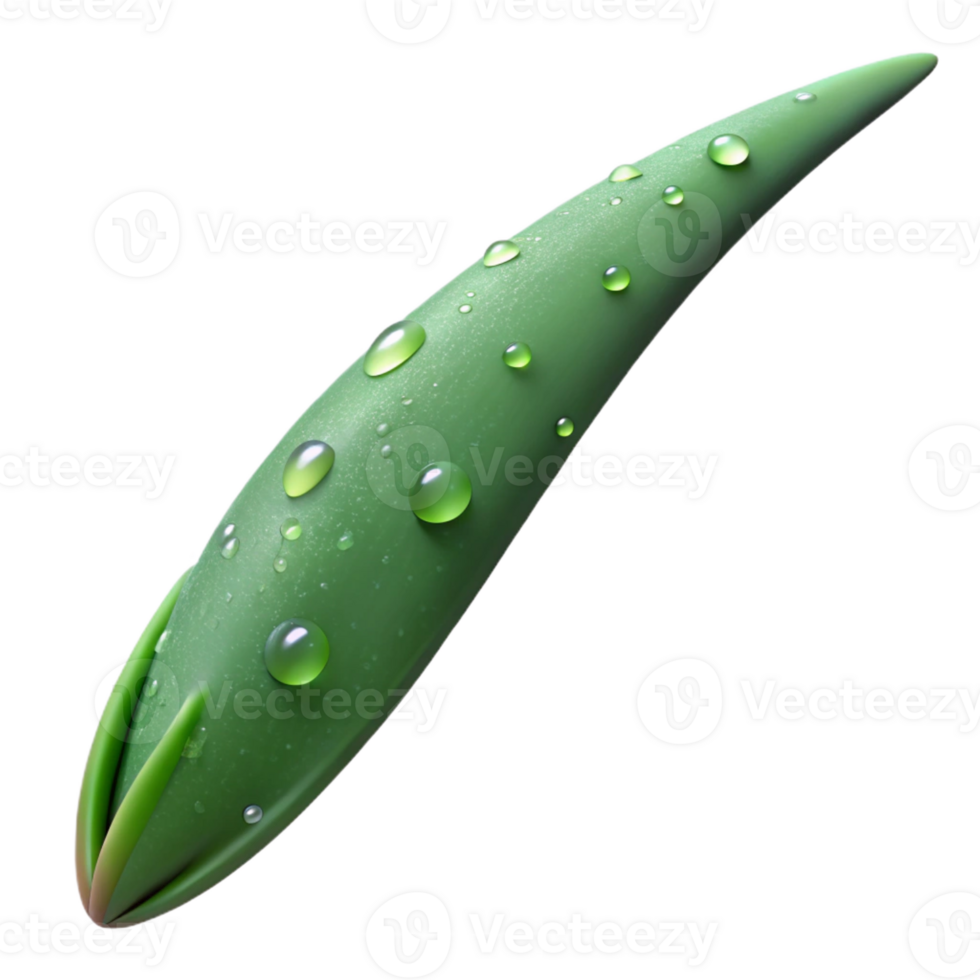 serene vintage A single blade of grass covered in dew, macro photography, realistic, close-up exclusive png