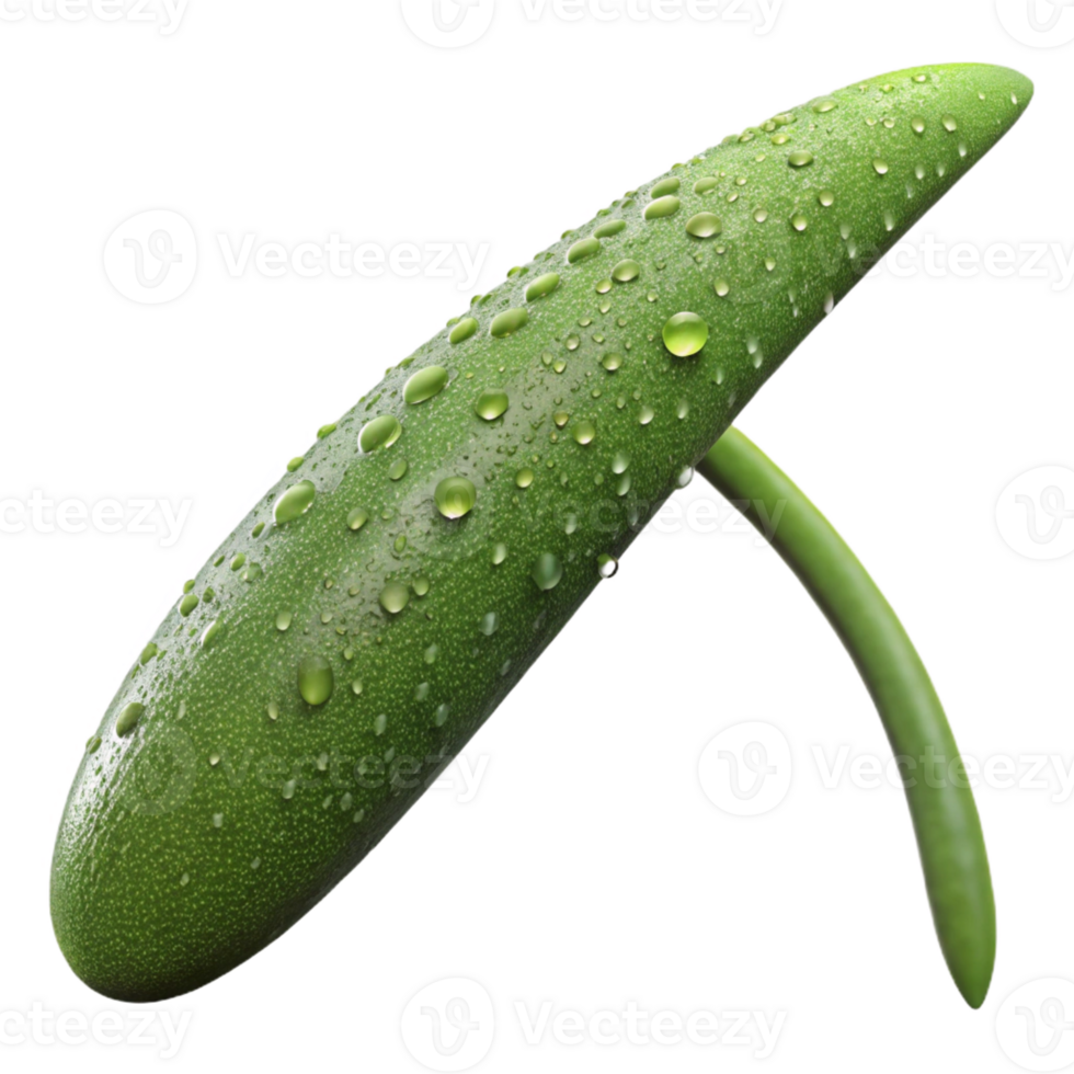 elegant classic A single blade of grass covered in dew, macro photography, realistic, close-up authentic png