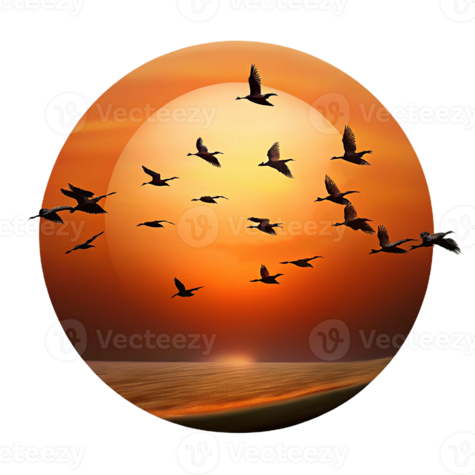 elegant minimalist A Group of Migrating Birds Silhouetted Agai high resolution png