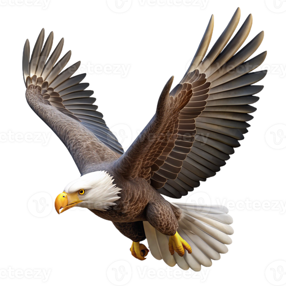 vibrant vintage A Majestic Bald Eagle Soaring Through The authentic png