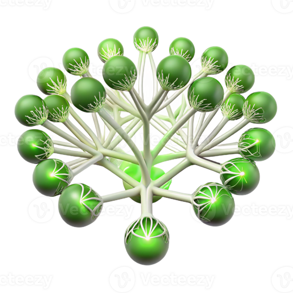 extraordinary minimalist A Complex Network of Interconnected Roots high quality png