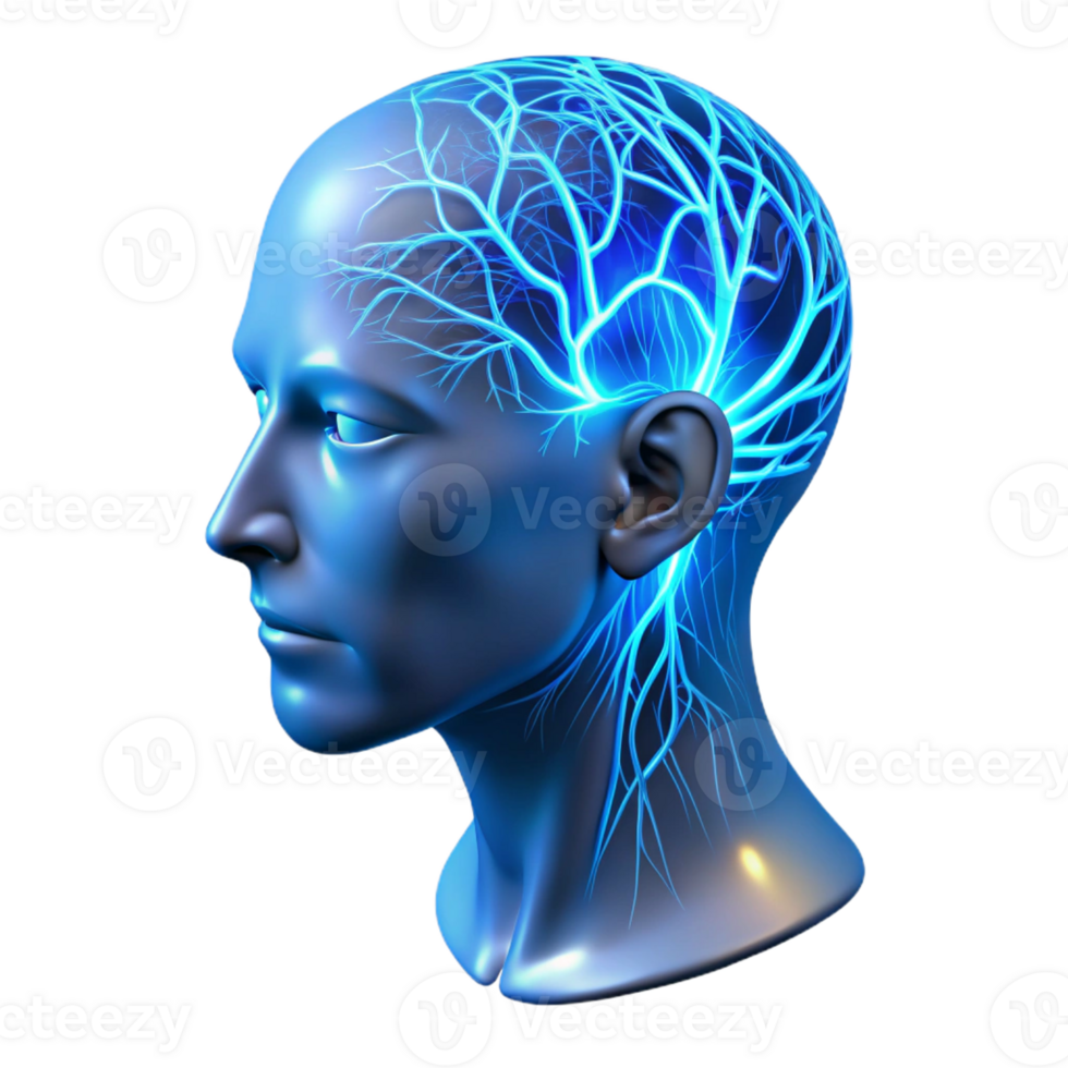 impressive vintage A Transparent Human Head with Visible Ne original png