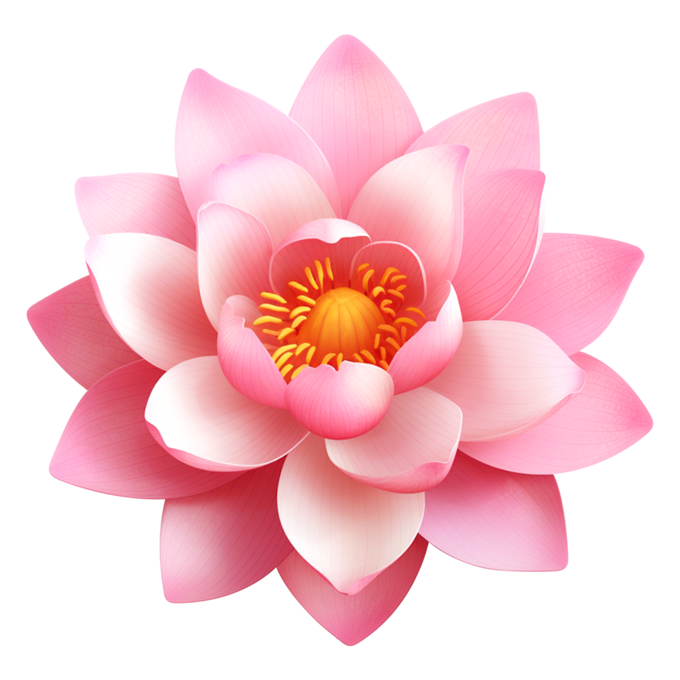 Spiritual lotus symbol isolated on transparent background png
