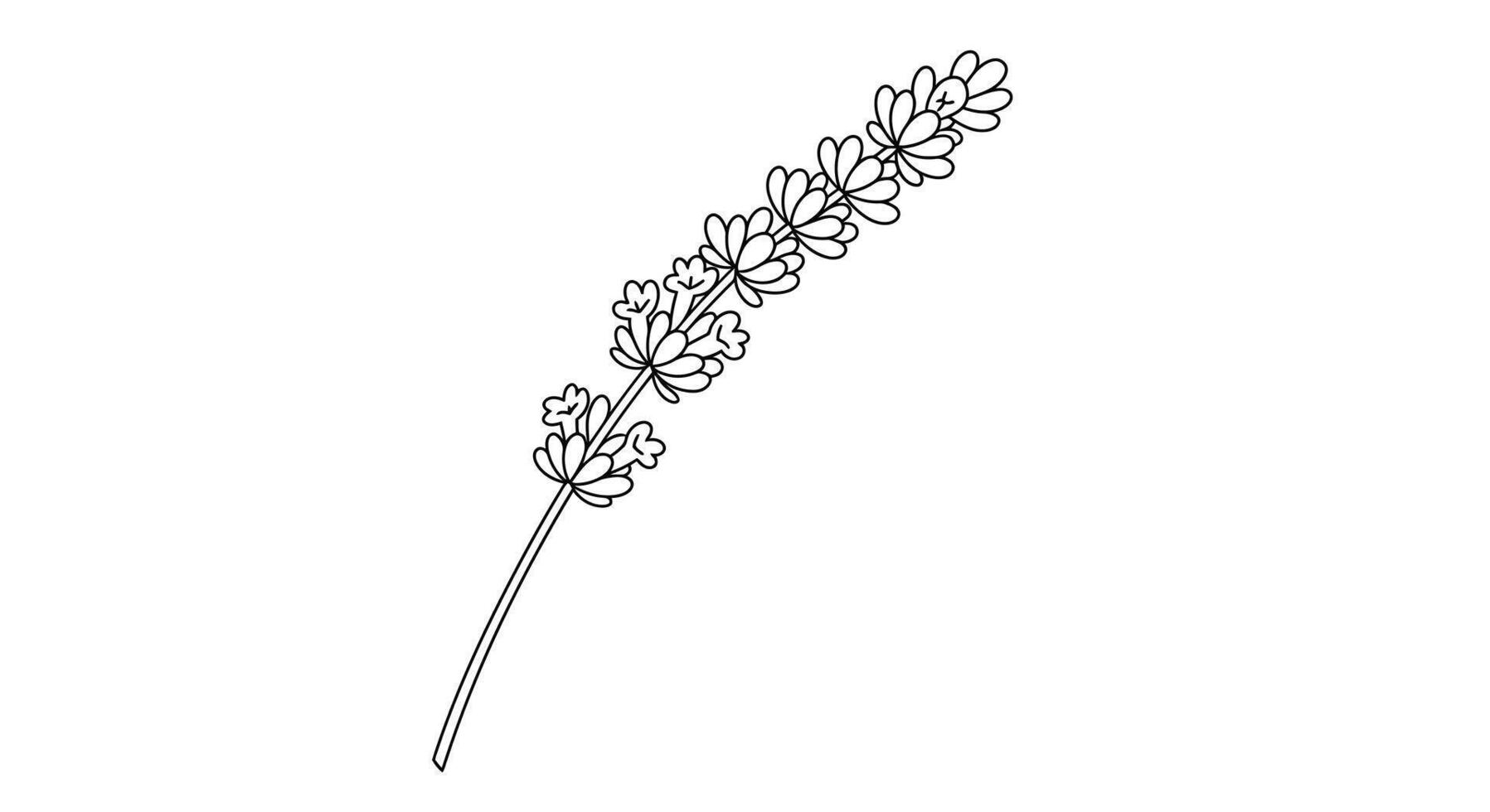 A drawing of a plant with leaves vector