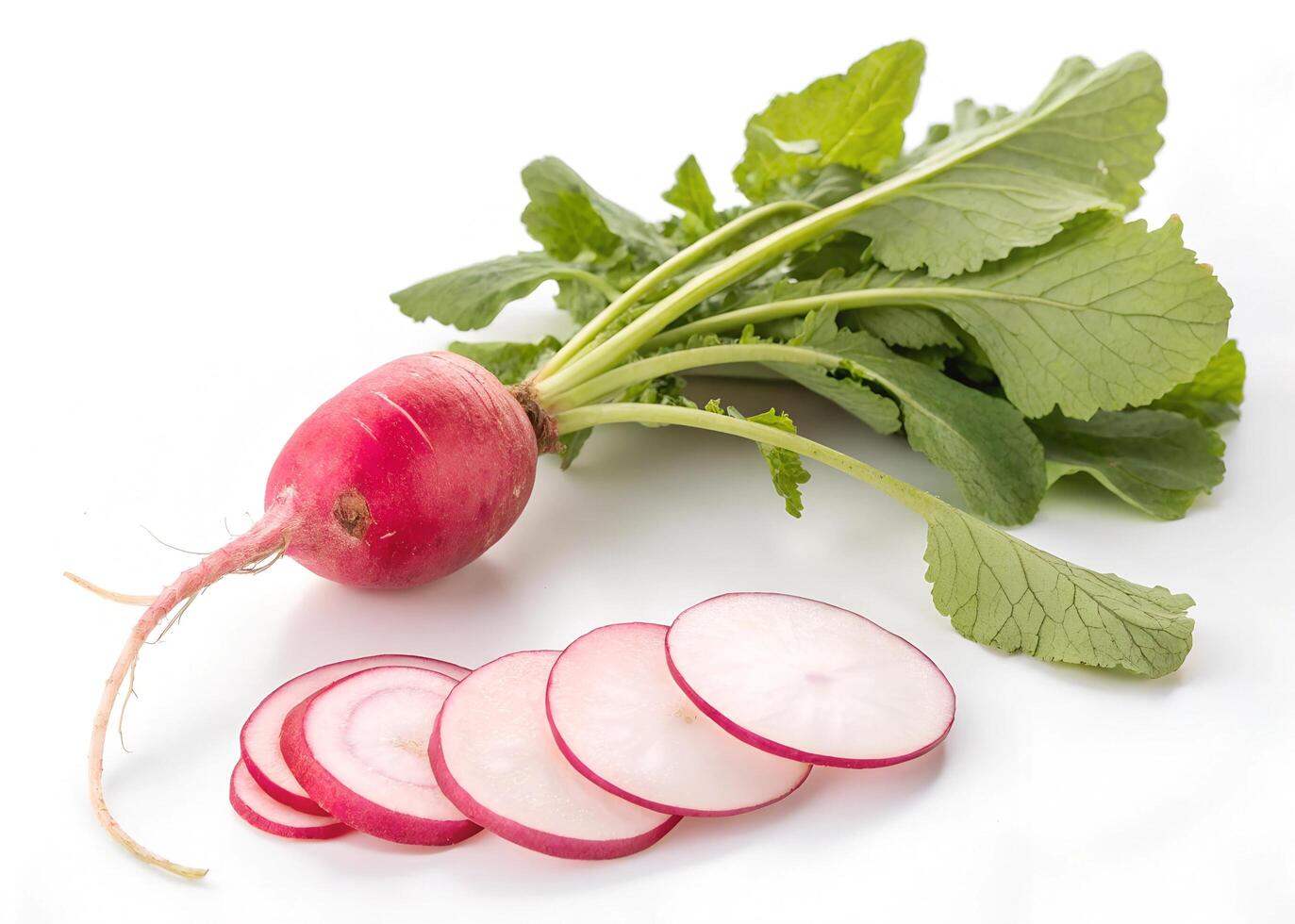 A A fresh radish with vibrant green leaves rests on a white background photo