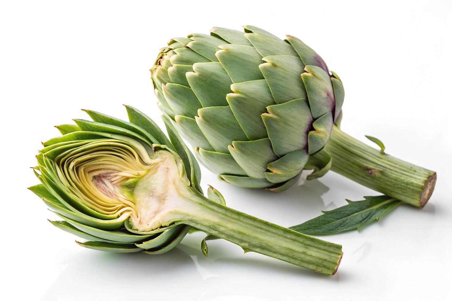 Two artichokes on a white background, one whole and the other cut in half photo