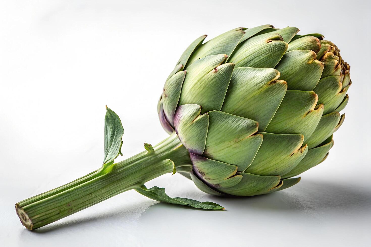 A A fresh artichoke with a long, sturdy stem and several lance-shaped leaves is displayed photo