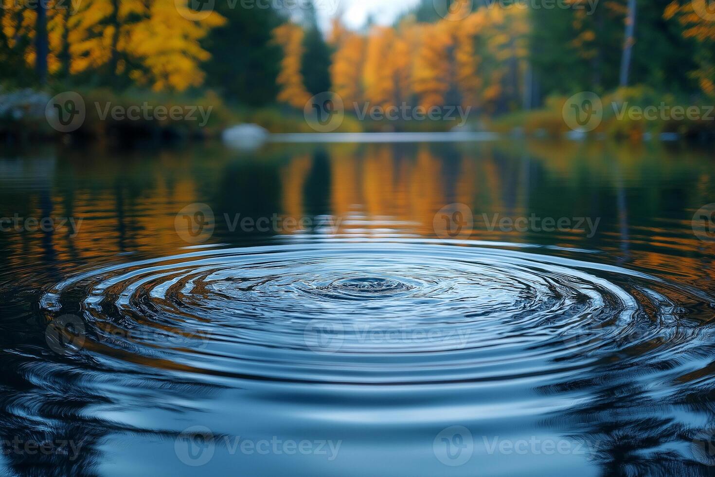 Ripples spread across a tranquil lake surrounded by vibrant autumn foliage. photo