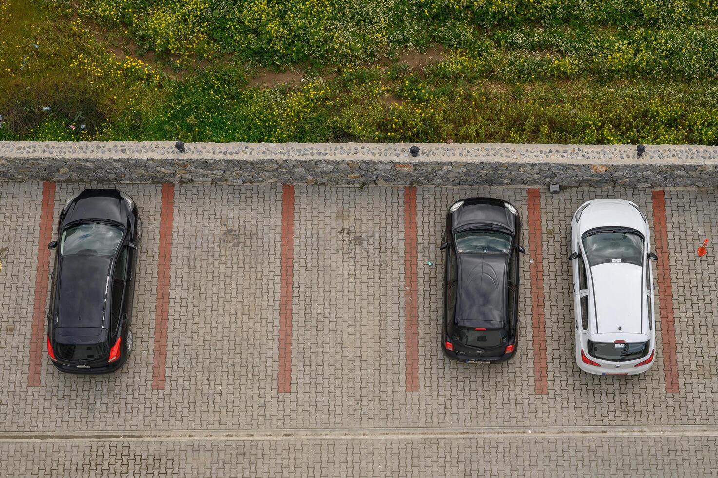 Gaziveren Cyprus -28.02.2025 Parking lot tranquility as three cars rest against a backdrop of lush greenery photo