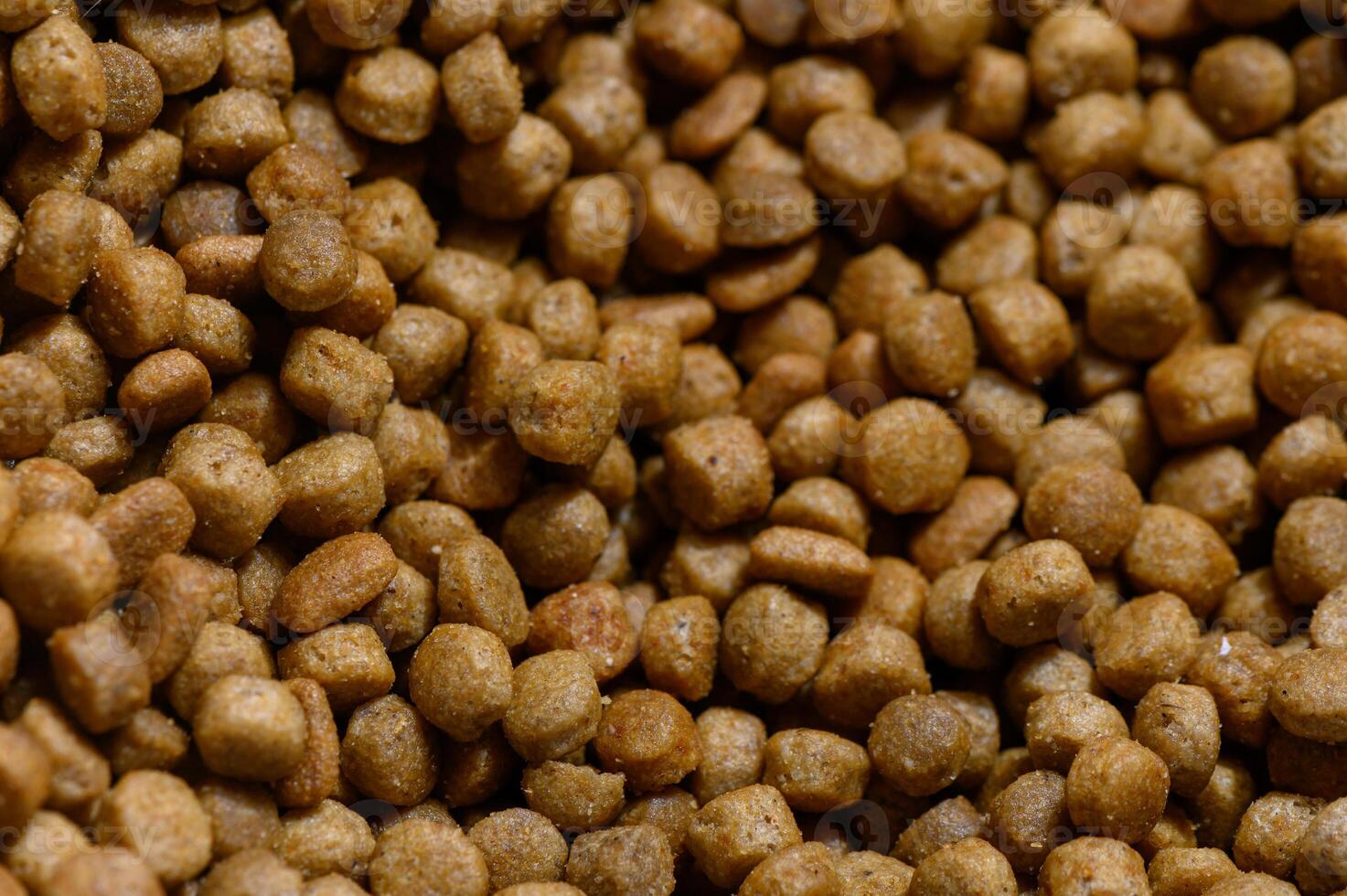 Dry pet food scattered across a surface inviting pets to enjoy tasty kibble moments photo