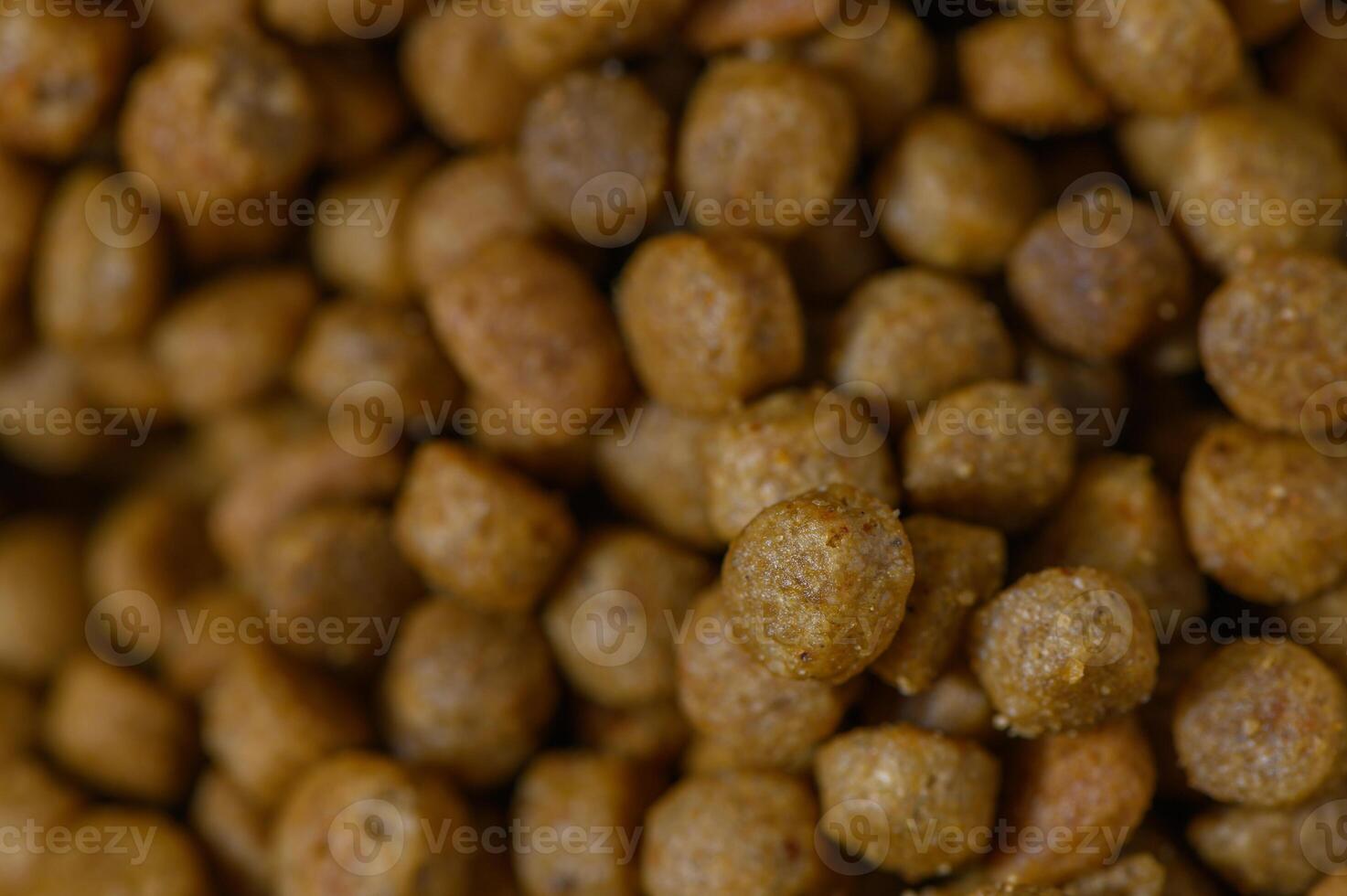 Delicious brown kibble treats scattered on a vibrant surface, appealing to pet lovers and their furry friends photo