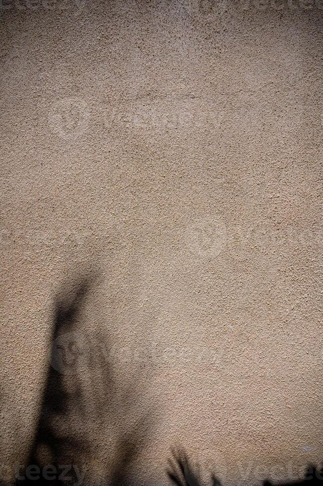 Shadows dance on a textured wall under the warm sunlight of a late afternoon photo