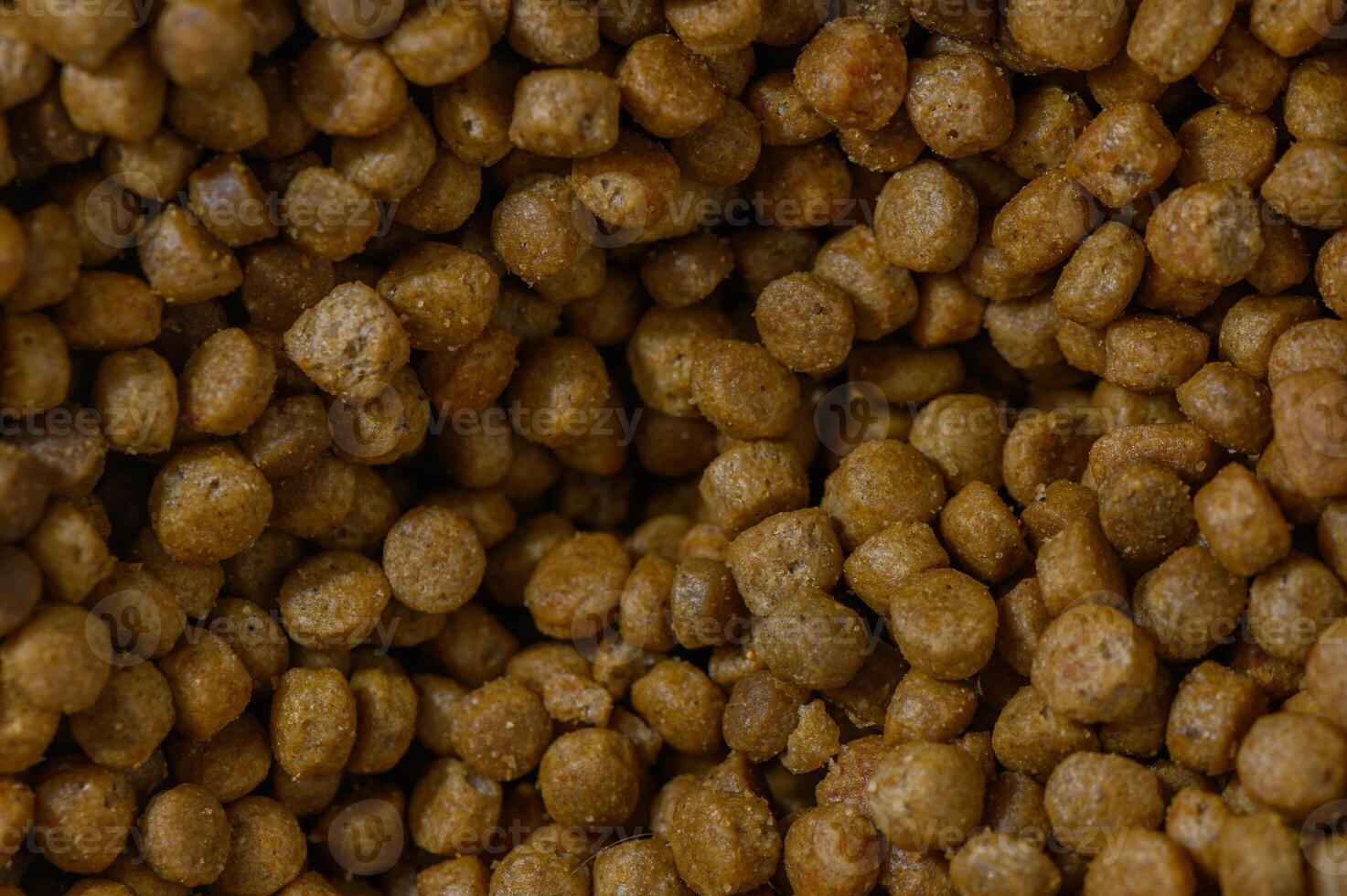 Exploring the intricate texture of dry pet food in a close-up view at a pet supply store photo
