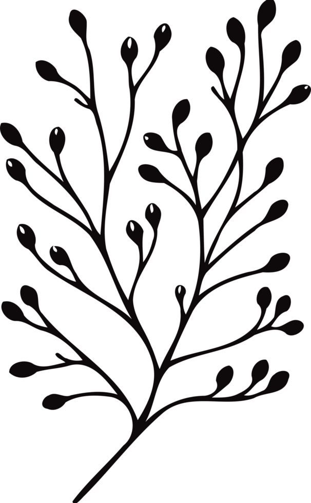 Designs Hand Drawn Vintage Sketch Drawing, green leaves Line Art, Plants tree branch, Collection branches Floral elements, set of Botanical Illustration Outline leaf, Black And White leaves png