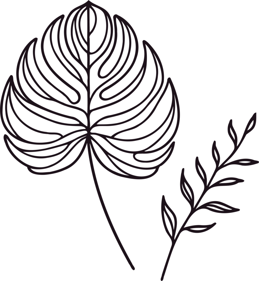 Monstera Leaf Botanical Illustration, heart shaped leaf illustration of a plant set of leaves black and white silhouettes of leaves seamless pattern with leaves png