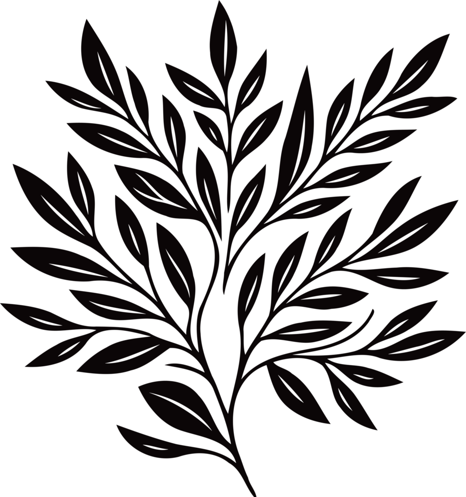 Hand drawn vintage sketch, leaves Line art, Plants collection branches Floral elements, set botanical illustration outline leaf, branch, black and white leaves, sketch of a leaf png