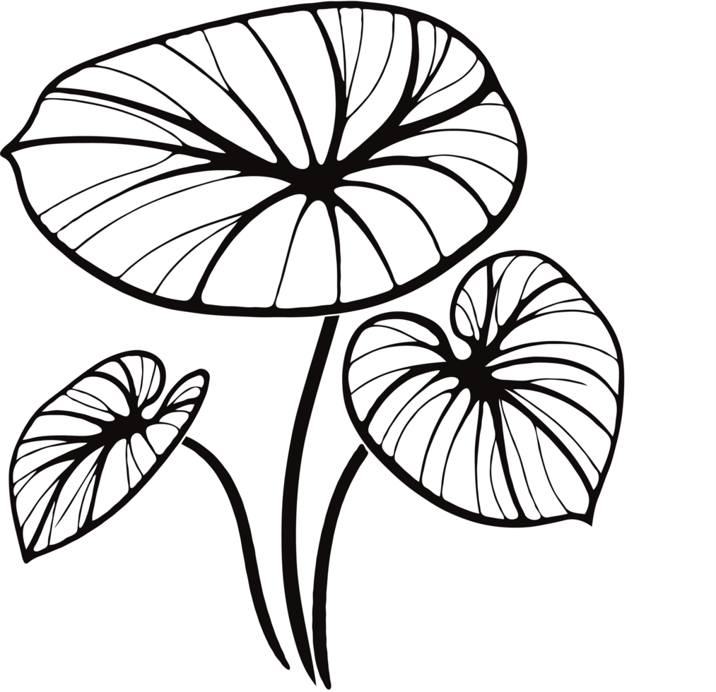 Floral Anthurium Leaf Artwork, heart shaped leaf illustration of a plant set of leaves black and white silhouettes of leaves seamless pattern with leaves png