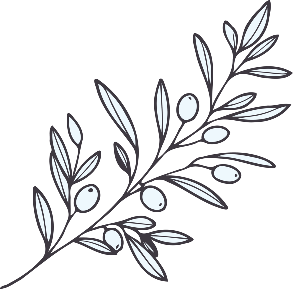 Organic Natural Olive Branch Hand Drawn, Lineart Style, Olive branch illustration. A wreath with a green leaves and a symbol for the winner of the contest. Black and white. png