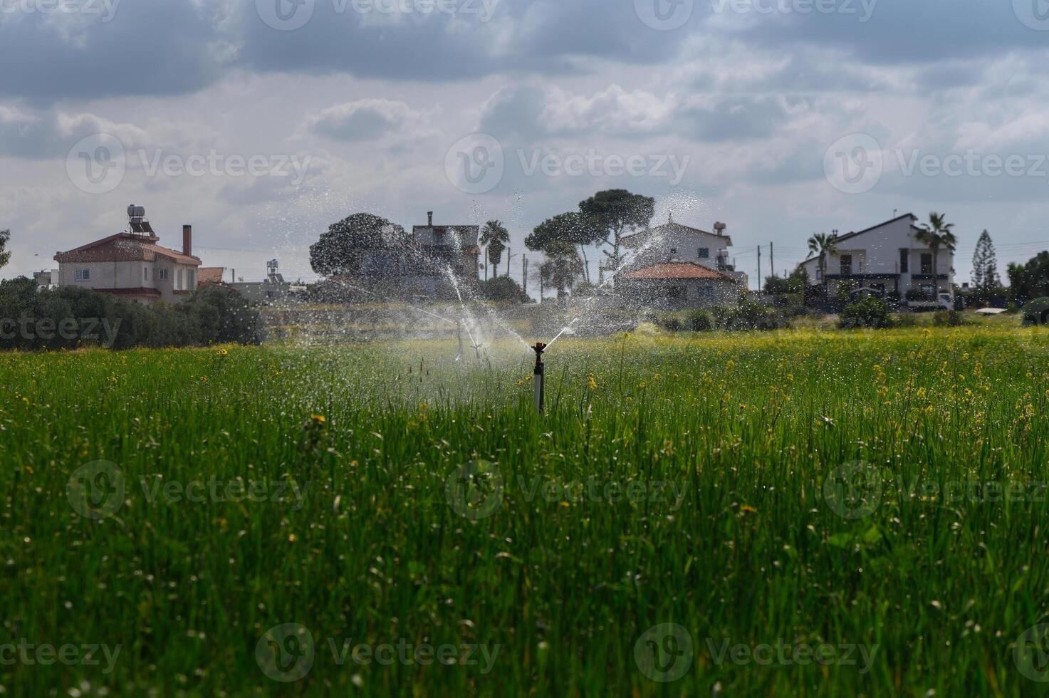Irrigation systems bring life to green fields under a cloudy sky in a tranquil rural area photo