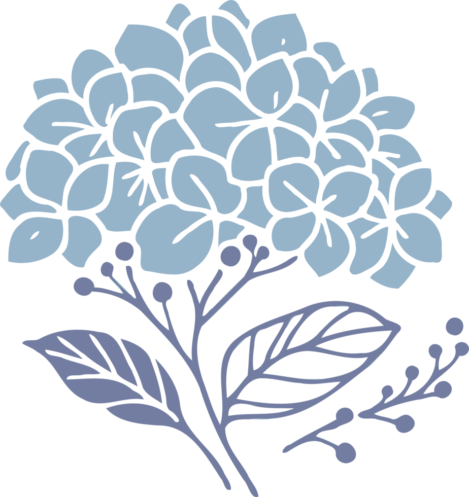 Elegant Hydrangea Illustrations. Geranium line art floral, black and white illustration, decorative elements of plants stylized Rhododendron flowers png