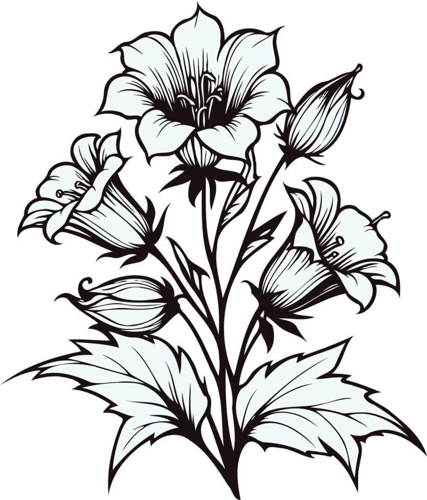 Bellflower Floral Design with Buds. Hand Drawn line art of flowers, bluebell leaves, black and white engraving drawing, decorative elements of plants. Botanical Illustration. png