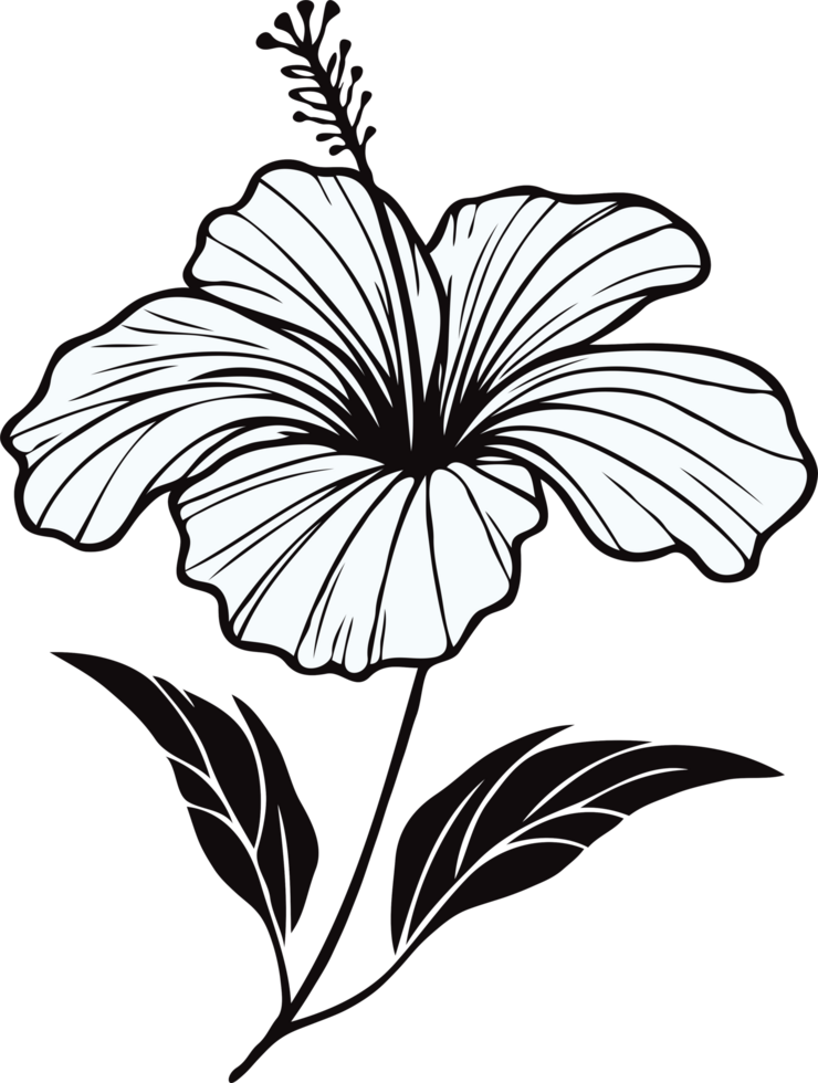 Detailed Floral Sketches, Doodle Flower Art, flowers hibiscus, line art floral, leaves, black and white illustration Chinese rose, decorative elements of plants stylized png
