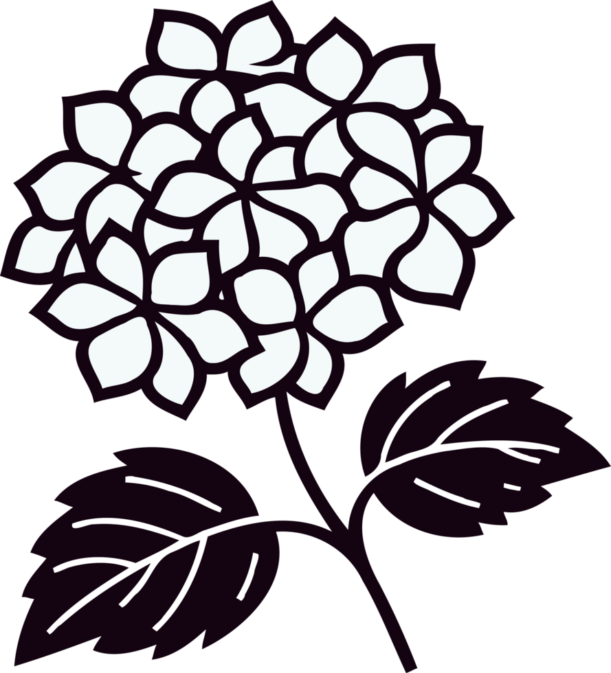Hydrangea Plant Illustrations. Geranium line art floral, black and white illustration, decorative elements of plants stylized Rhododendron flowers png