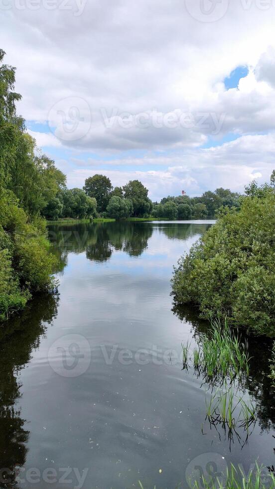 View of a beautiful lake in the forest among green trees with beautiful reflection, in summer.Vertical wide photo