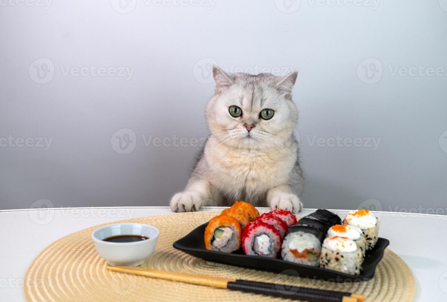 Curious cat inspecting sushi plate on dining table photo