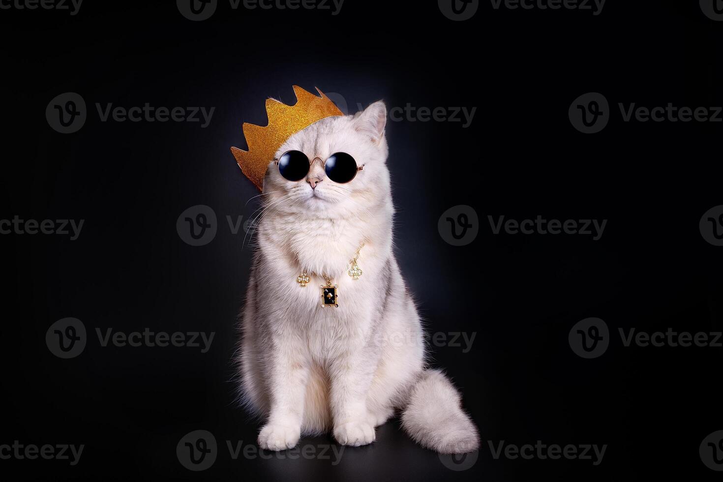 a white king cat wearing a golden crown sits on an isolated black background. photo
