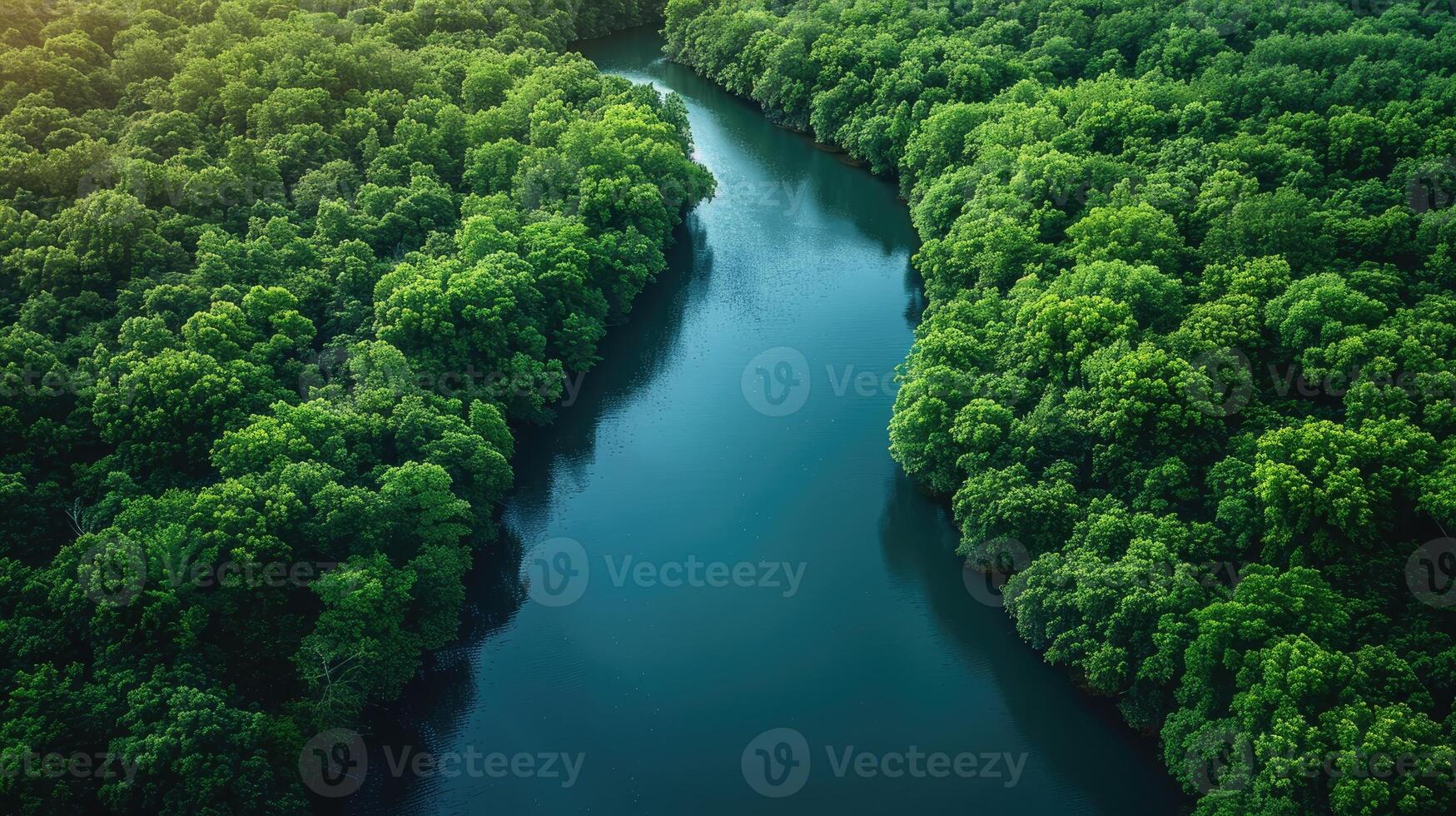 Aerial View of Lush Green Forest with Serpentine River Nature Landscape Photography photo