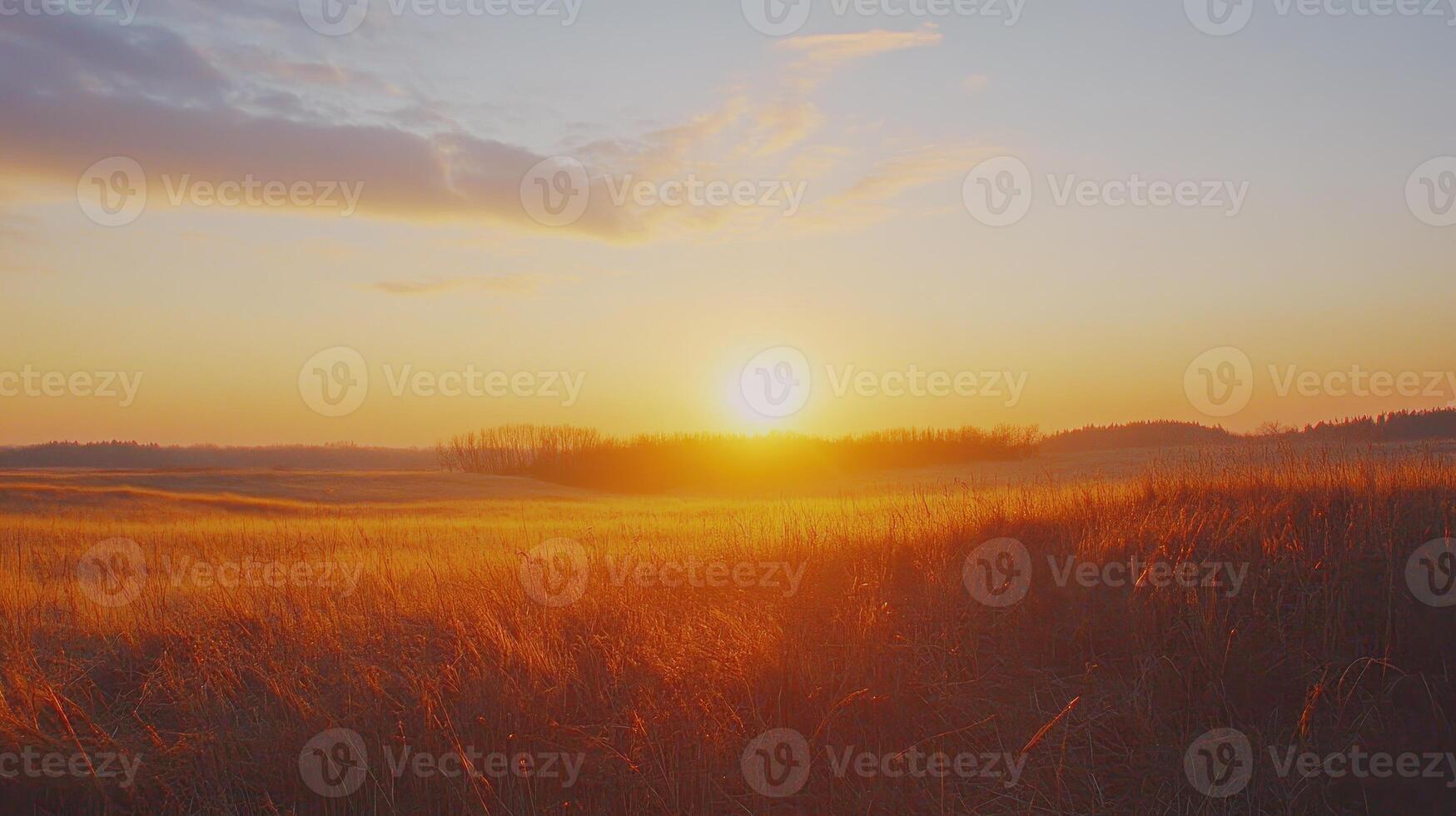 A tranquil sunset over a golden field, with soft clouds and distant hills, creating a serene and picturesque landscape. photo