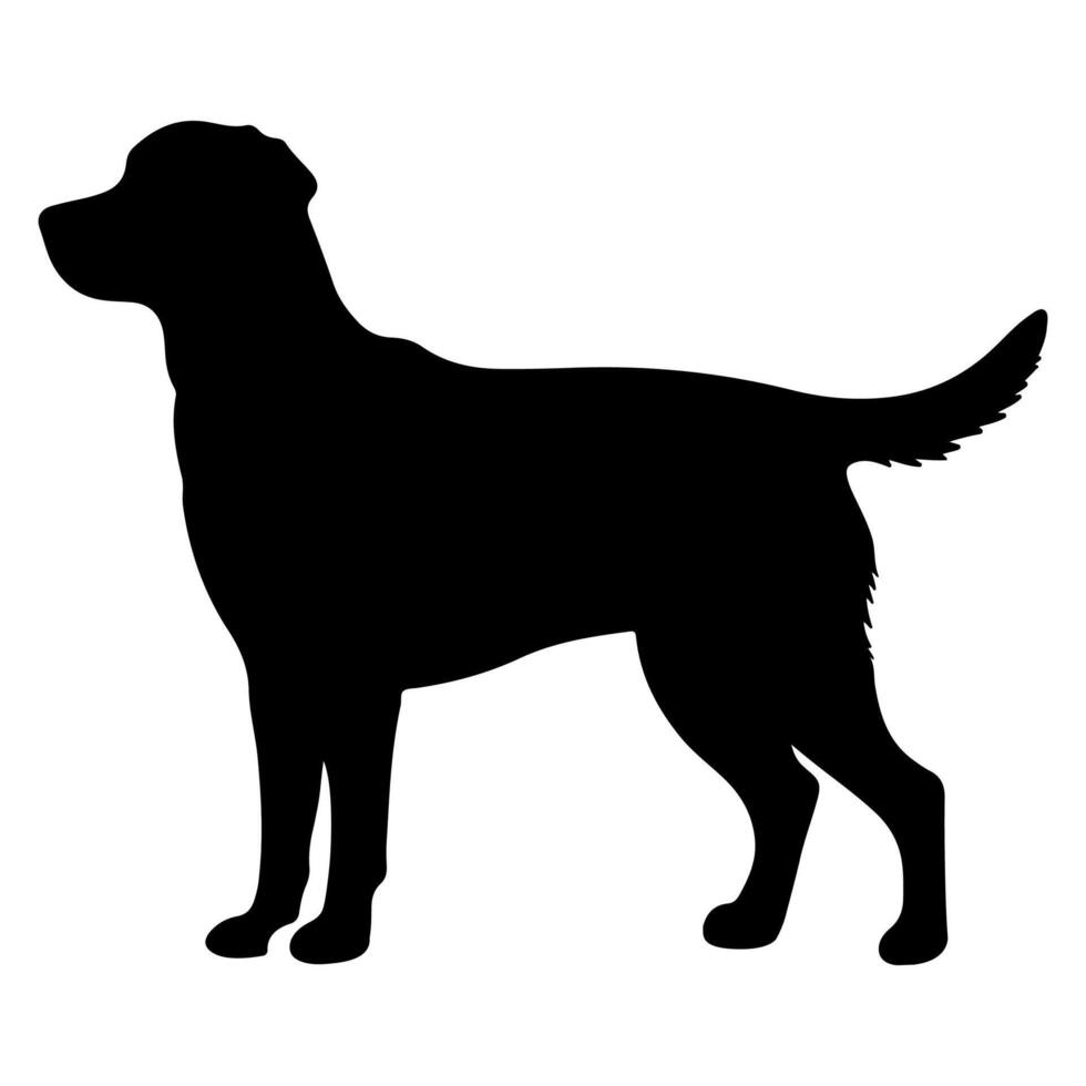 Standing Dog silhouette design vector