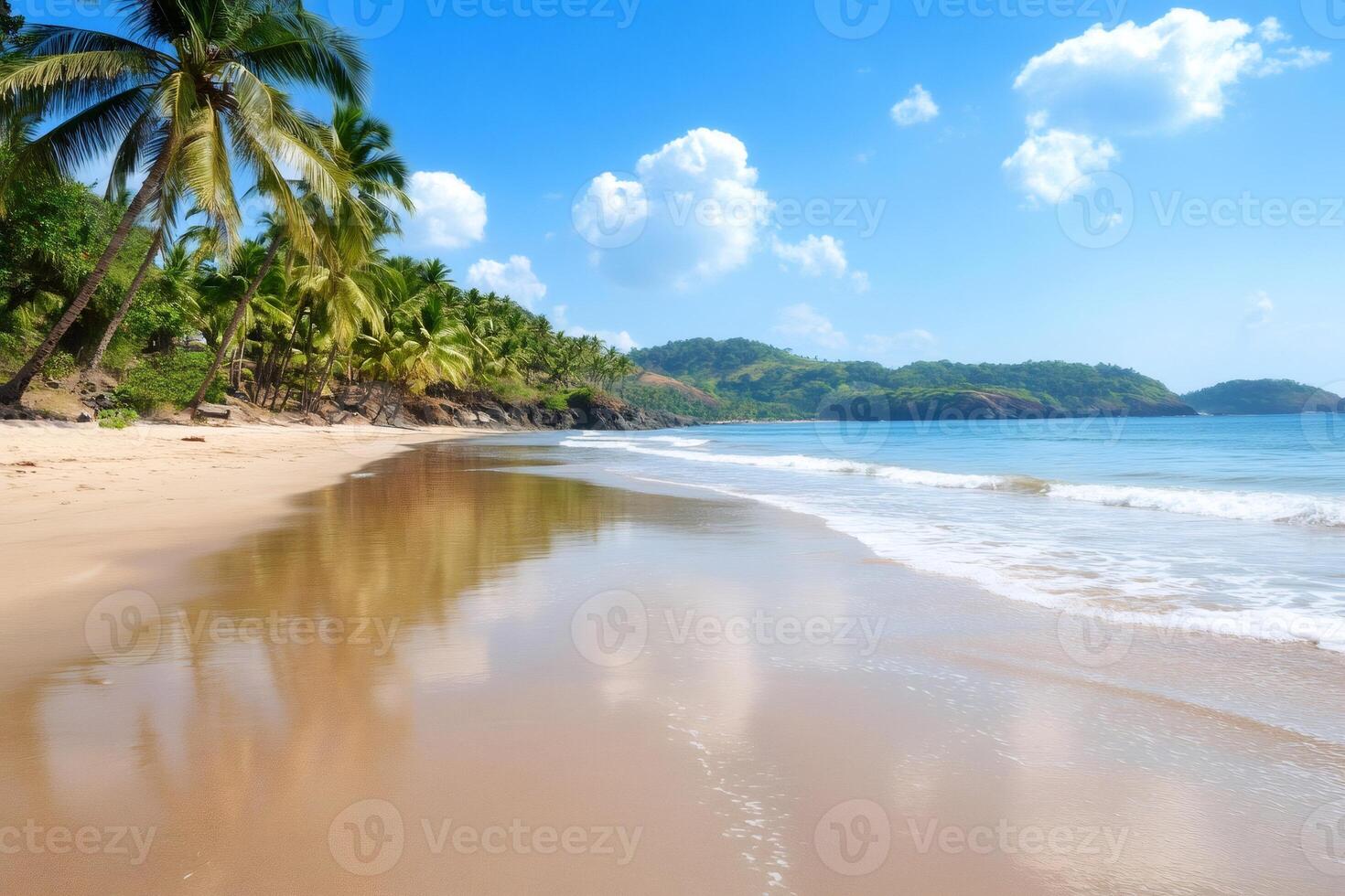 Tropical beach with palm trees reflecting in the wet sand in Goa, India photo