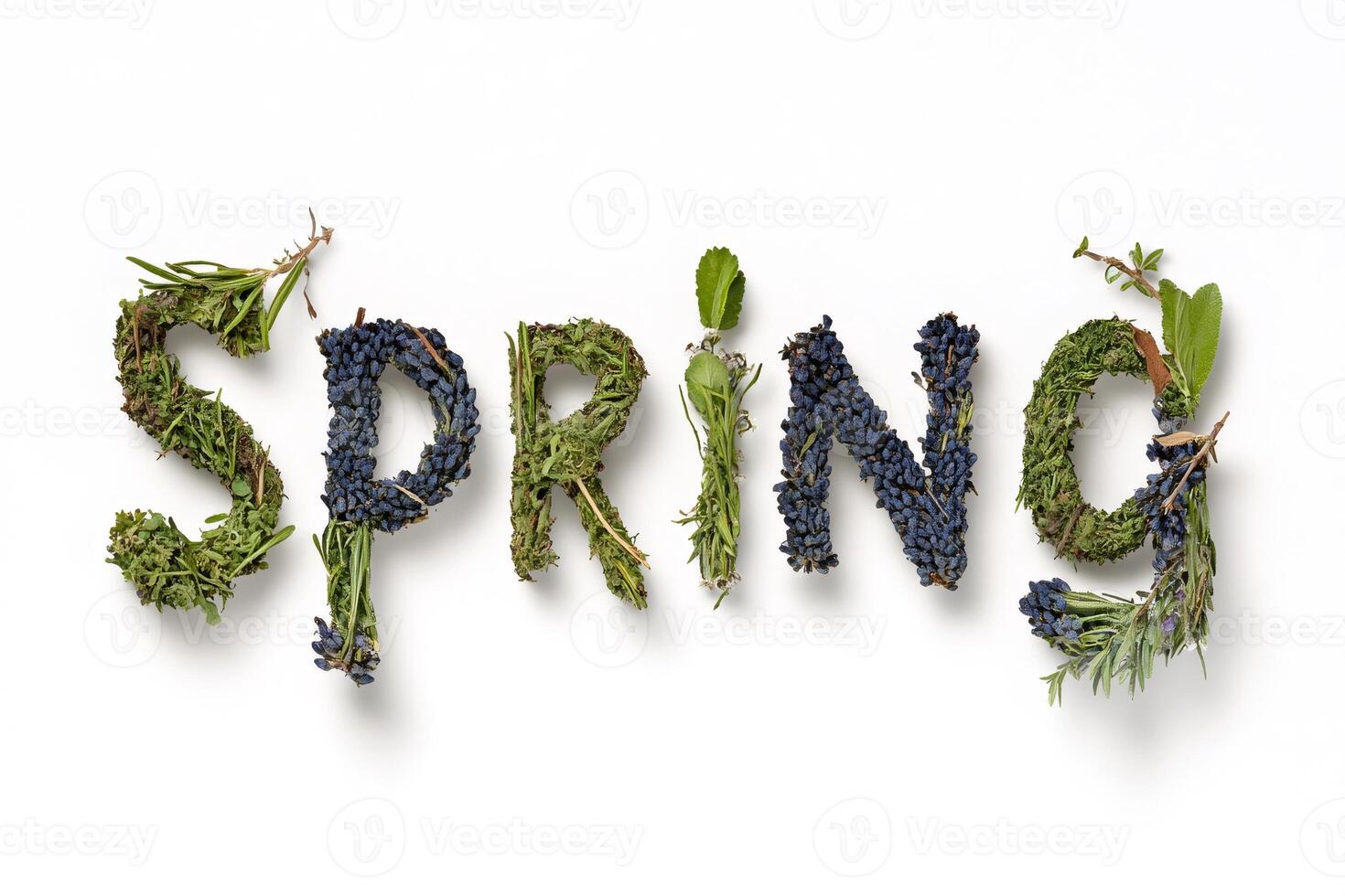 Spring is coming, enjoying nature with herbs and flowers forming the word spring photo