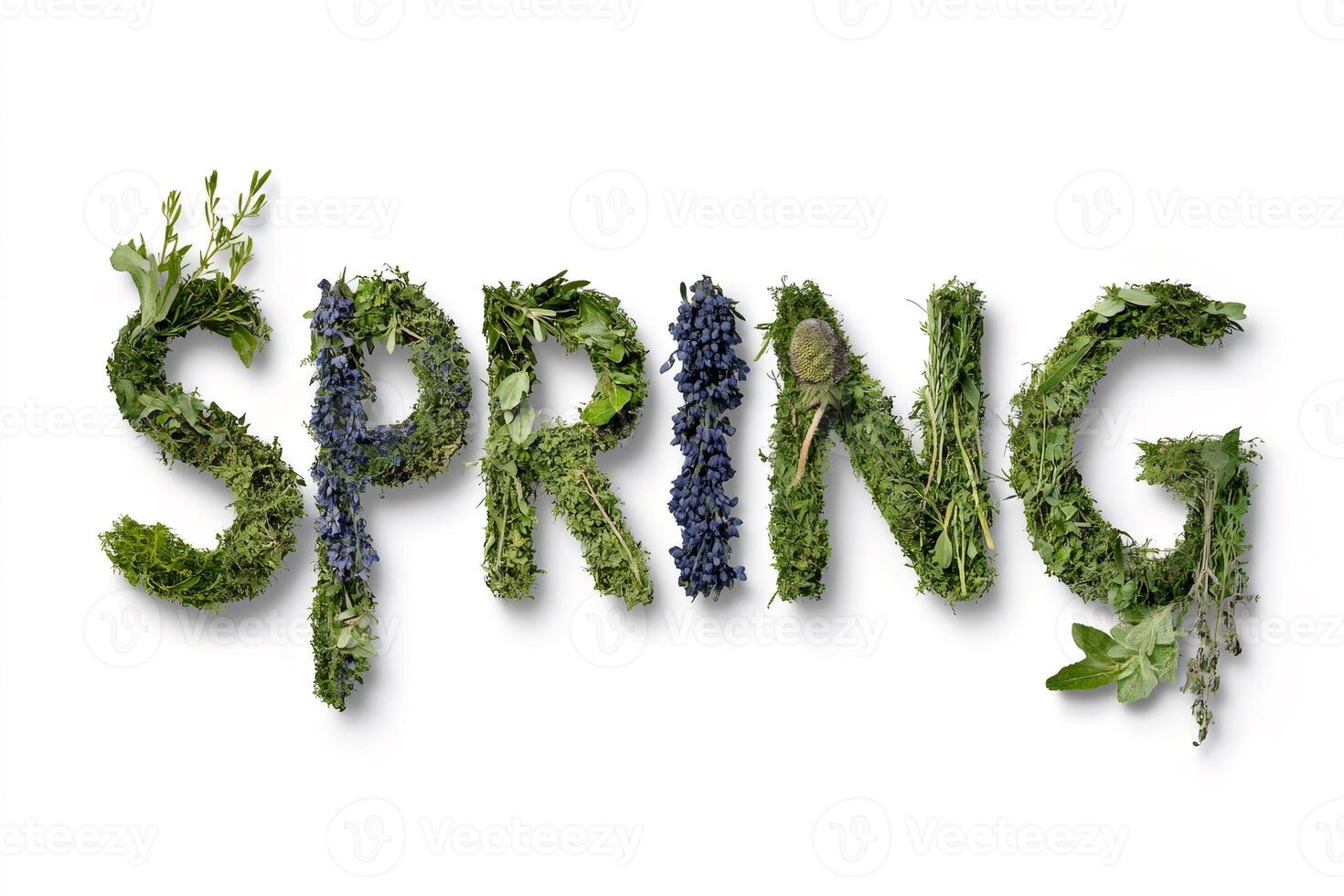 Spring is written with plants and flowers on a clean white background photo