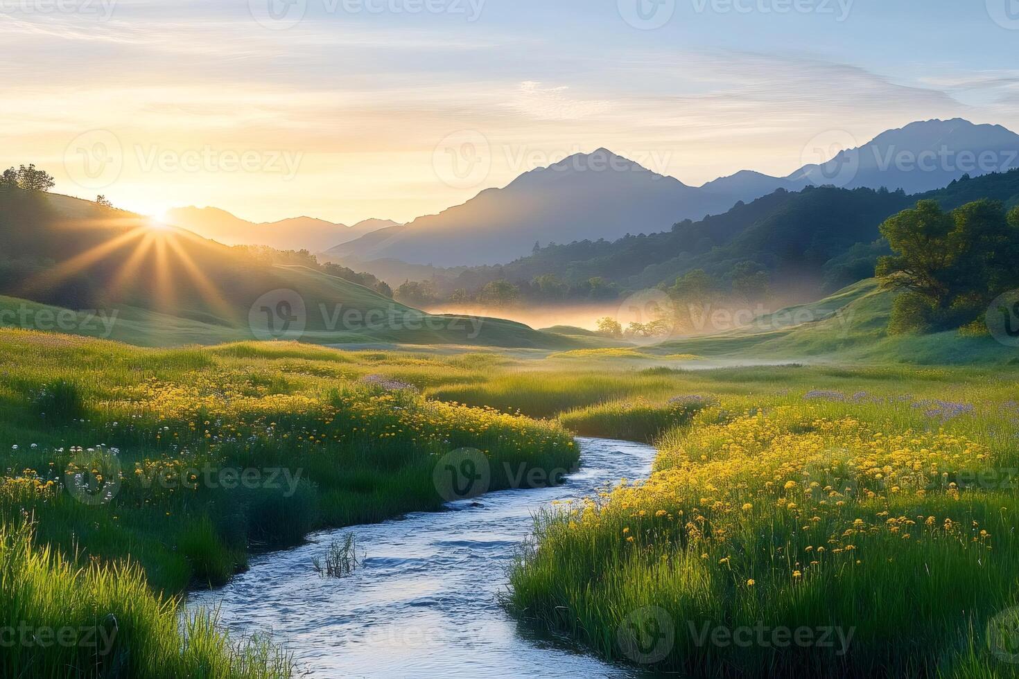 Sun shining over wildflowers and stream flowing through green valley photo