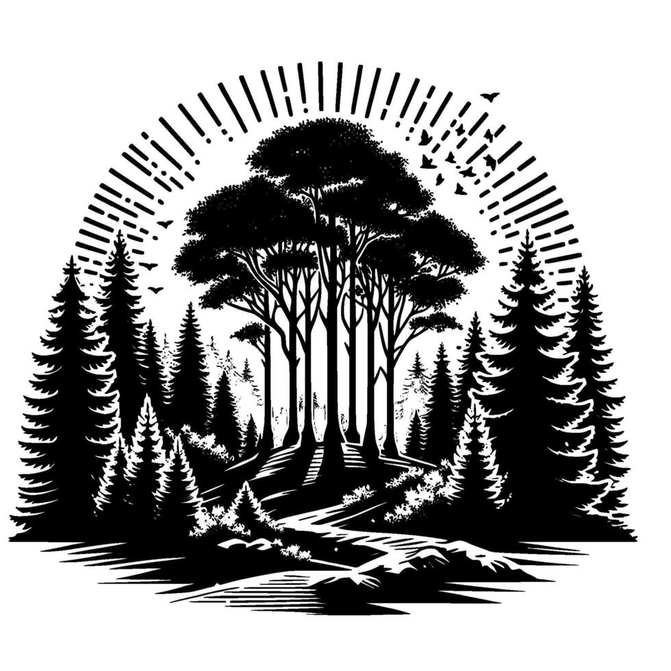 Black and white minimalist forest illustration depicting a sunburst behind tall trees and flying birds, nature scene, silhouette art. vector