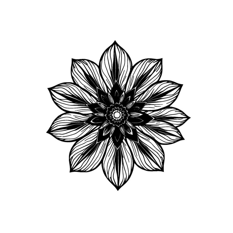 intricate black and white floral mandala with linear detailing and radial symmetry on a clean white background vector