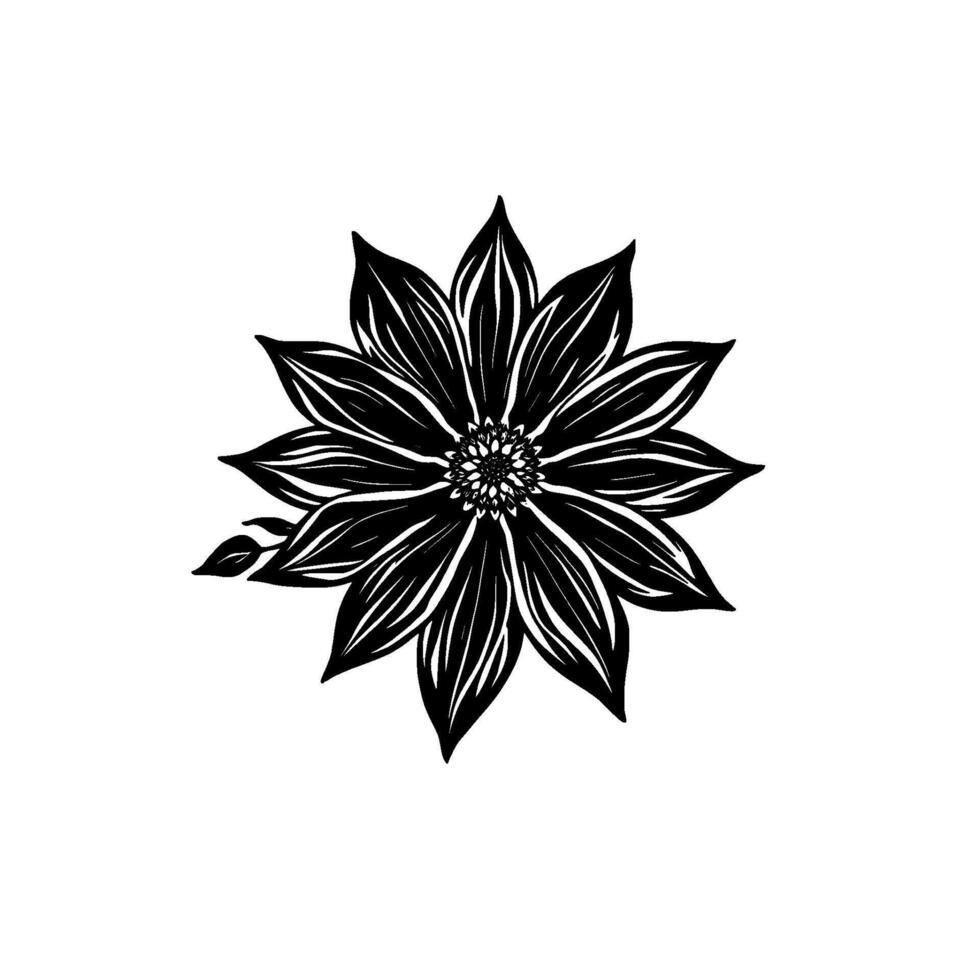 intricate black dahlia bloom with detailed petal veining and leaf embellishment, isolated on white. vector