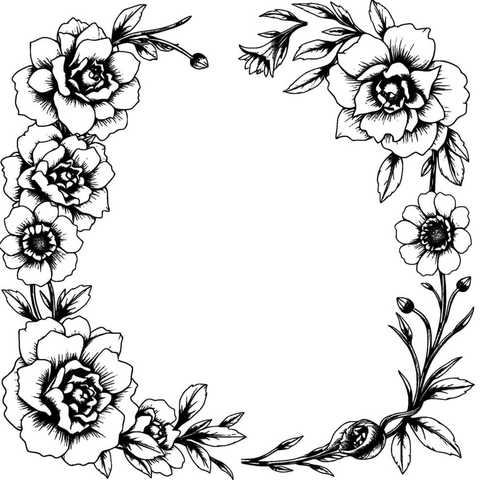 elegant floral frame intricate black and white handdrawn botanical border with roses, buds, and blossoms, surrounding blank space. vector