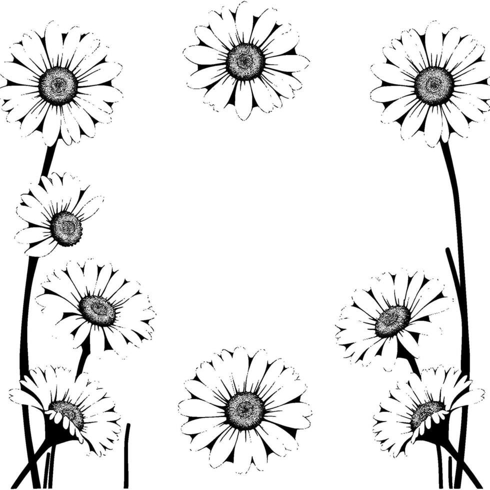 a minimalist floral illustration of black and white daisies, arranged in a balanced composition against a stark white backdrop. vector