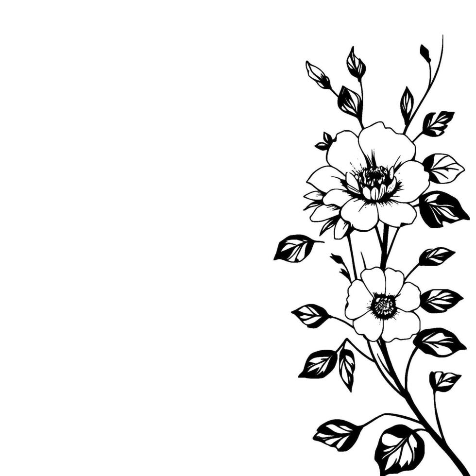 elegant black and white floral illustration two blooming flowers, leaves, and budding stems with delicate detailing on a white background. vector