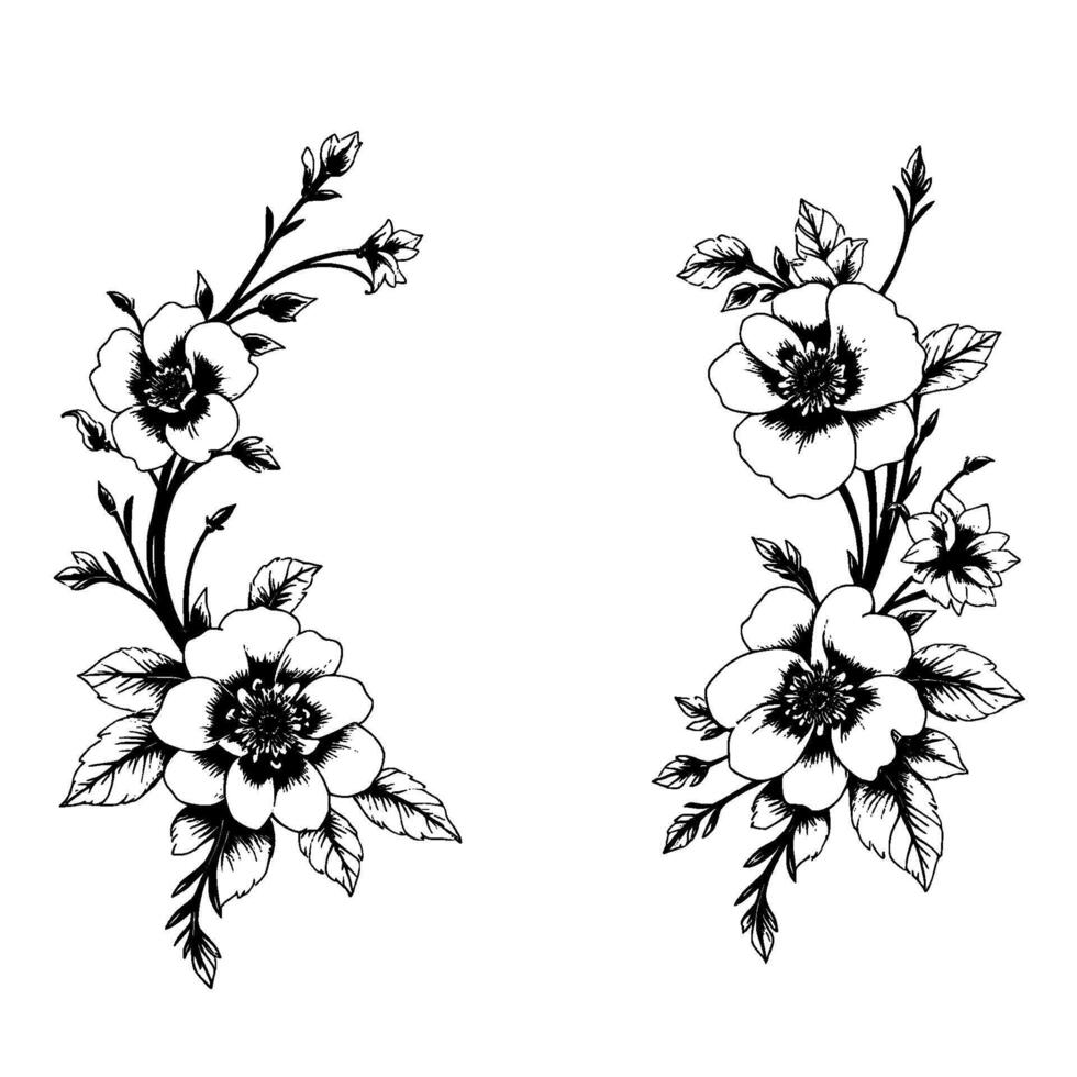 elegant symmetrical botanical illustration in black and white, featuring two graceful floral arrangements with detailed petals, leaves, and buds, set against a clean white background. vector