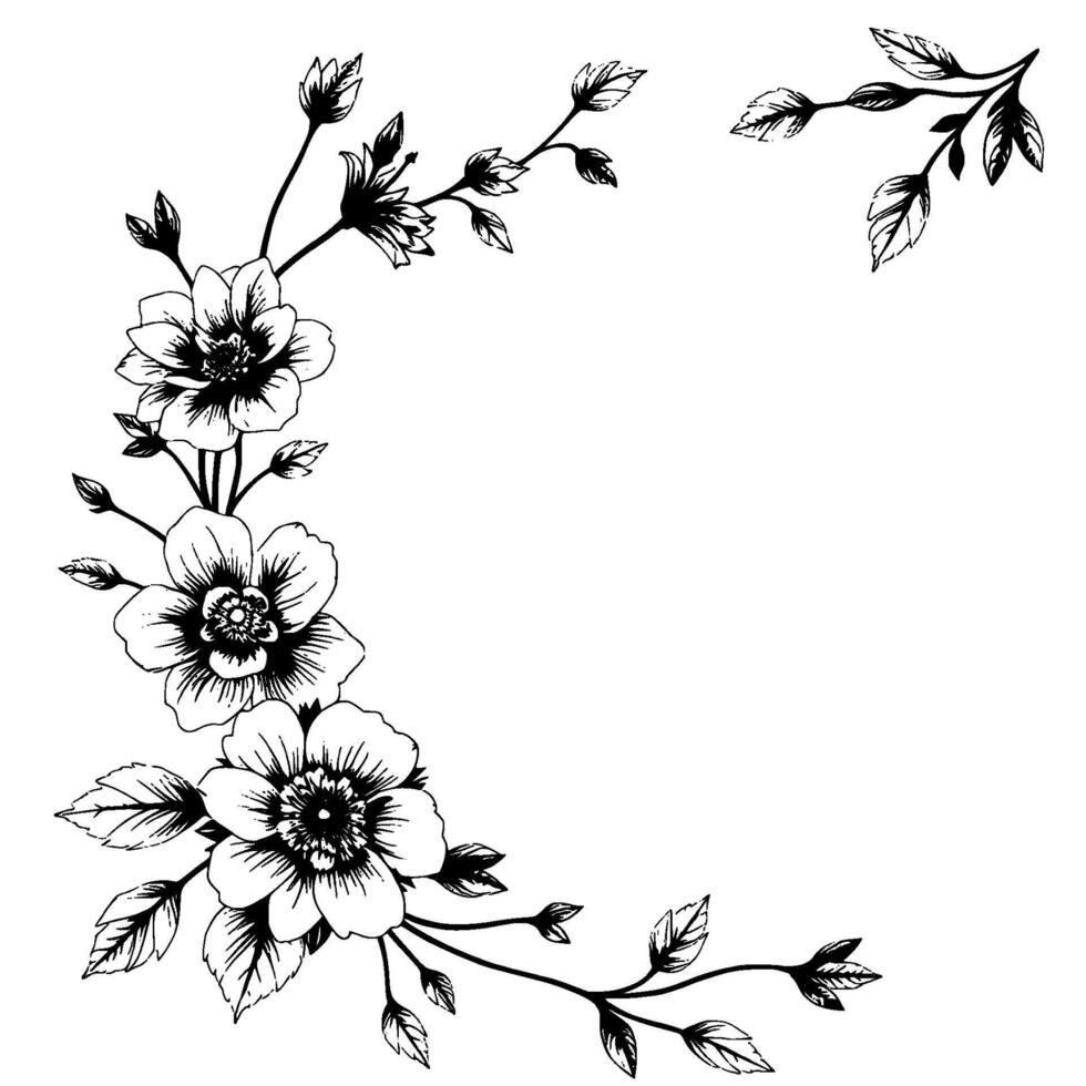 elegant black and white floral corner border with detailed blossoms, leaves, and buds, ideal for invitations and greetings. vector