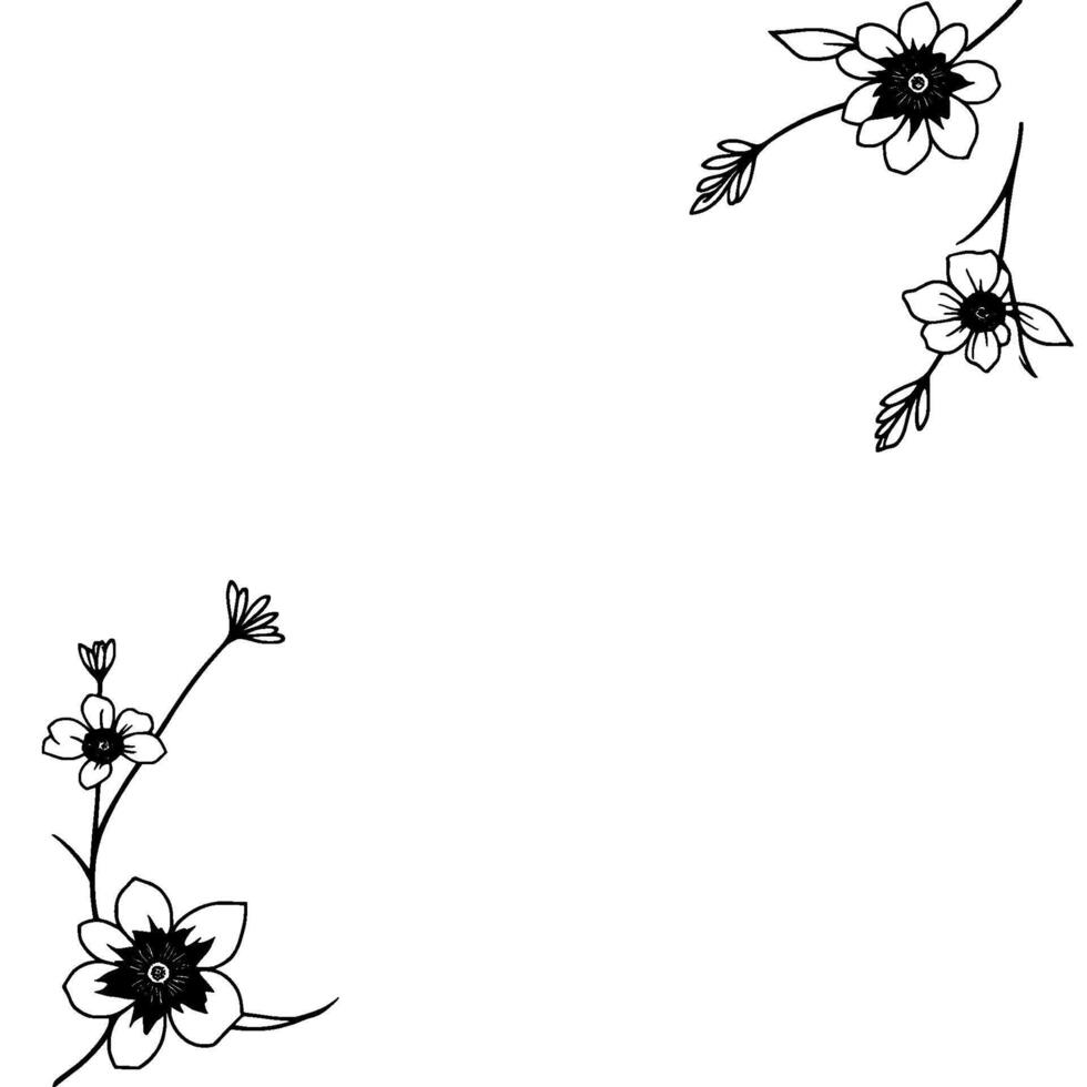 minimalist floral corner border delicate black and white line art with blooming flowers and leaves on a pure white background. vector