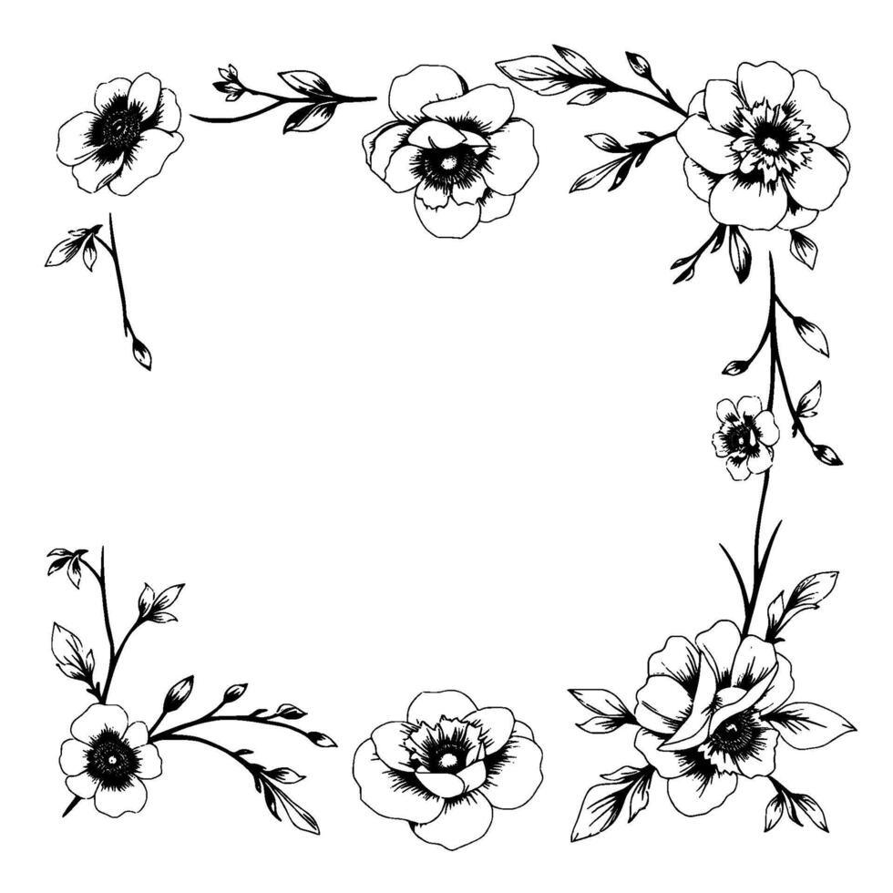 delicate floral border illustration black ink anemones and foliage framing a white canvas, minimalist aesthetic. vector