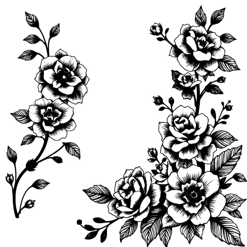 elegant black and white floral corner , handdrawn roses and foliage, decorative border. vector