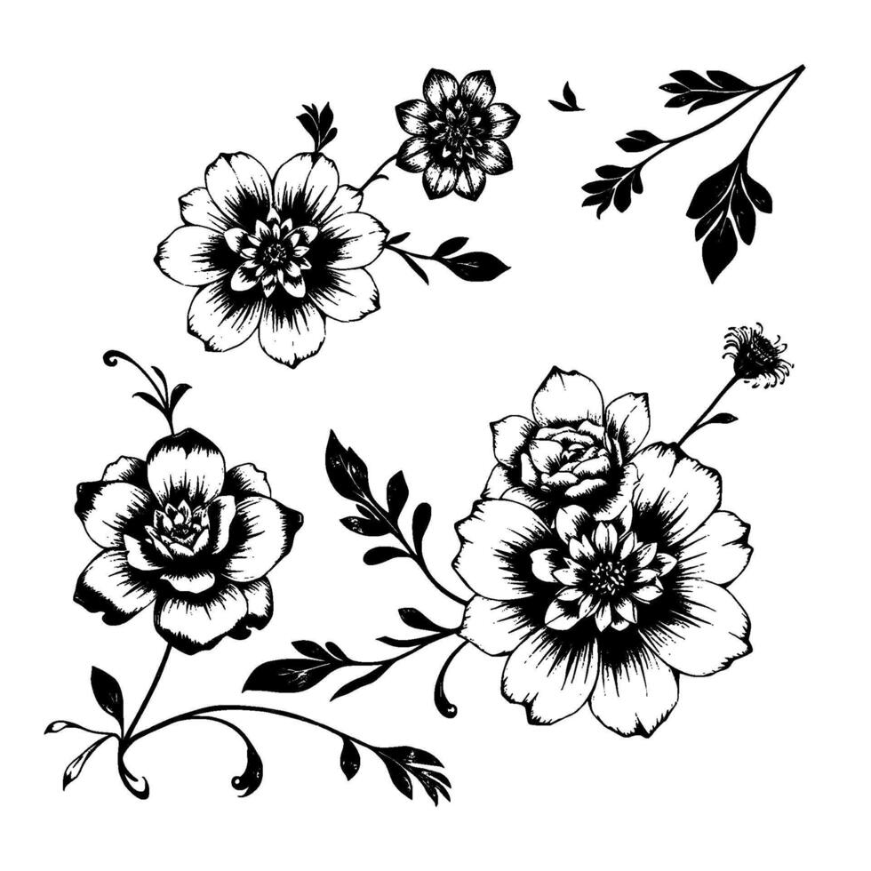intricate botanical illustration detailed black and white floral arrangement featuring a variety of flowers, leaves, and stems, with meticulous line work. vector