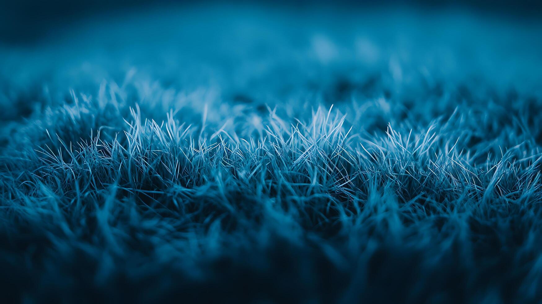 Close-Up of Soft Blue Grass with Delicate Texture photo